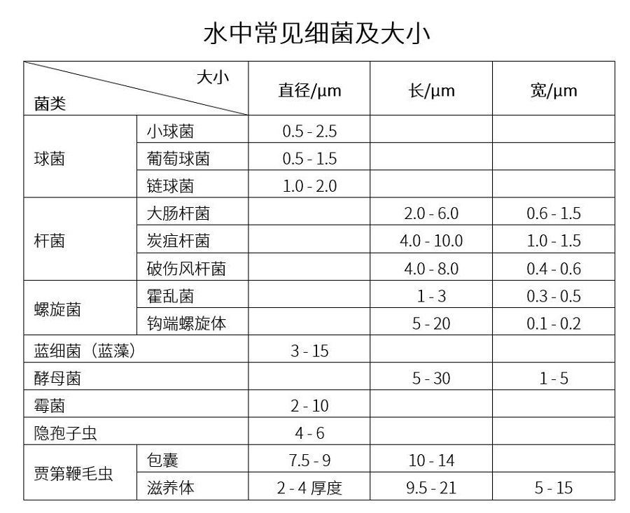 水中常見的細(xì)菌及其大小