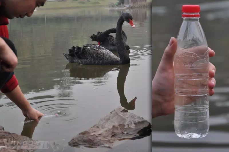 凈易單兵便攜式凈水器可以凈化河水等地表水