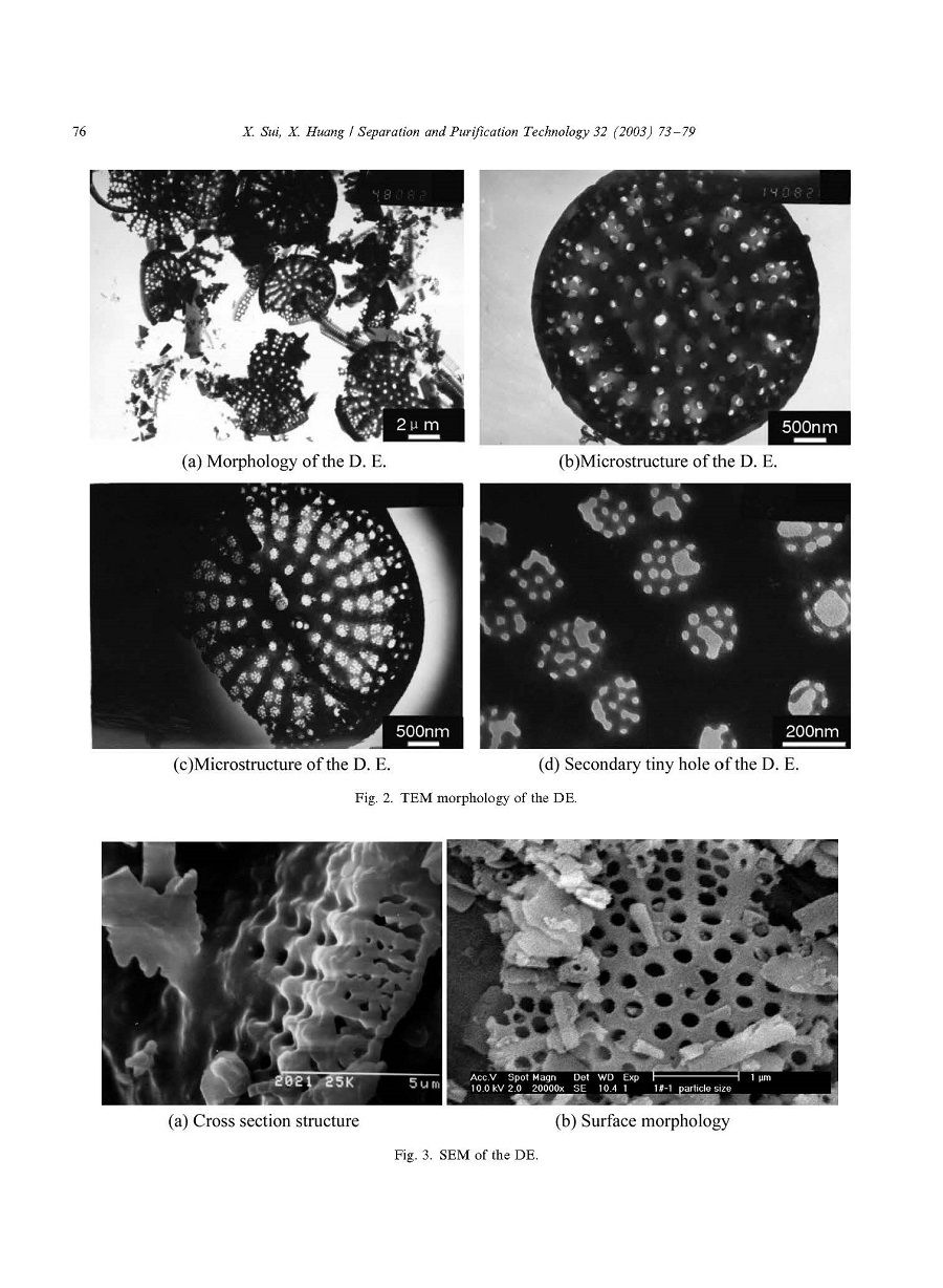 The characterization and water purification behavior of gradient ceramic membranes